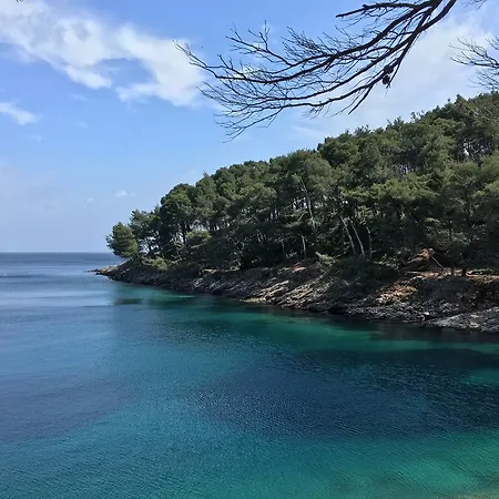 Palma