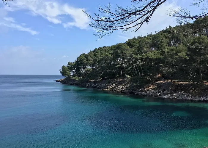 Palma